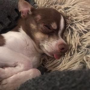 Meet your Posher, Victoria